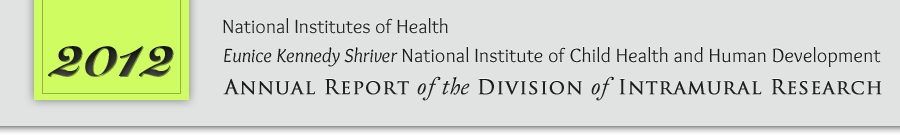 2012 Annual Report header